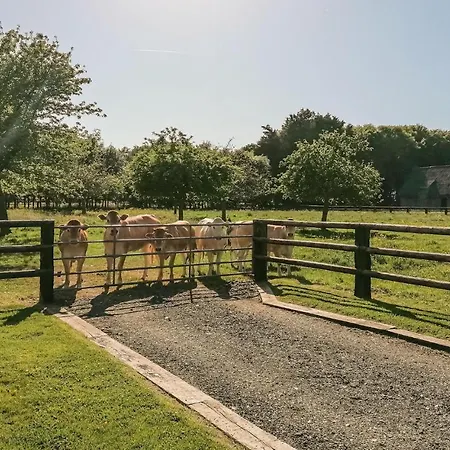 Holiday home Stunning In With Wifi